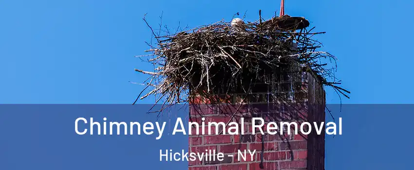 Chimney Animal Removal Hicksville - NY