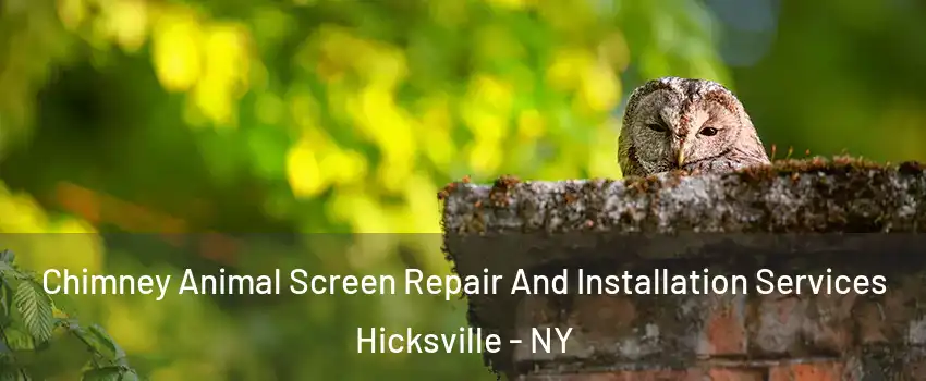  Chimney Animal Screen Repair And Installation Services Hicksville - NY