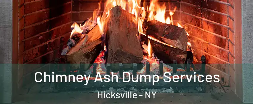  Chimney Ash Dump Services Hicksville - NY