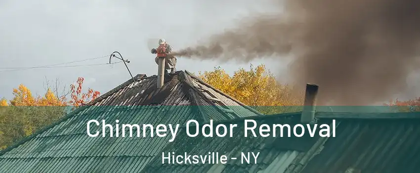  Chimney Odor Removal Hicksville - NY