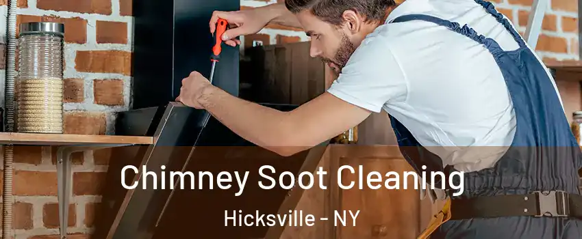  Chimney Soot Cleaning Hicksville - NY
