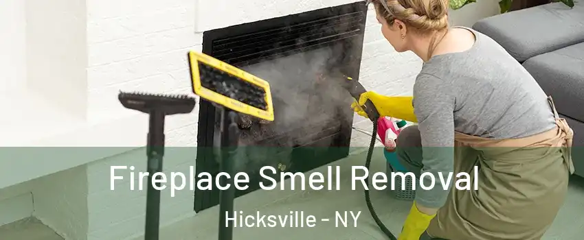  Fireplace Smell Removal Hicksville - NY