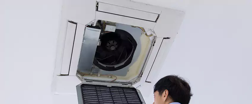 Benefits of Professional Air Duct Cleaning in Hicksville, New York