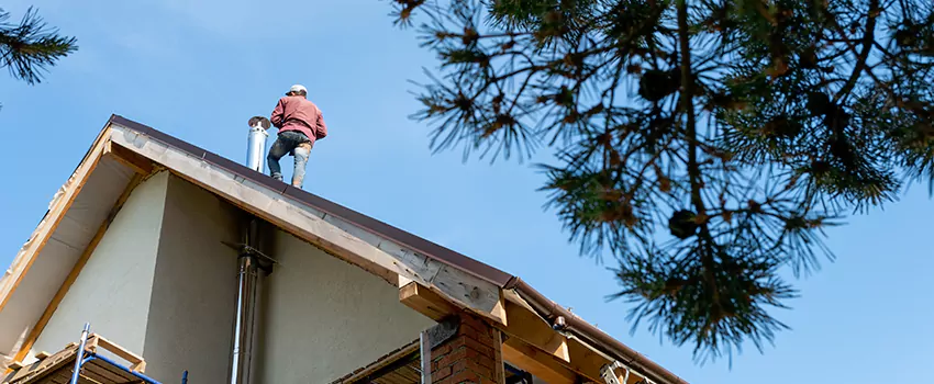 Birds Removal Contractors from Chimney in Hicksville, NY