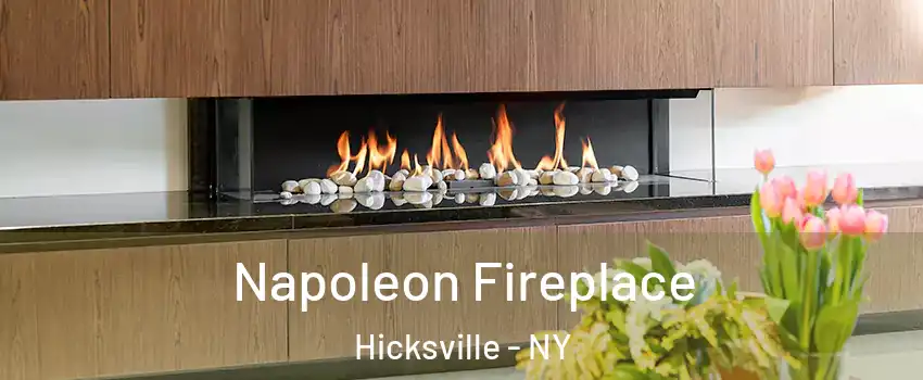  Napoleon Fireplace Hicksville - NY